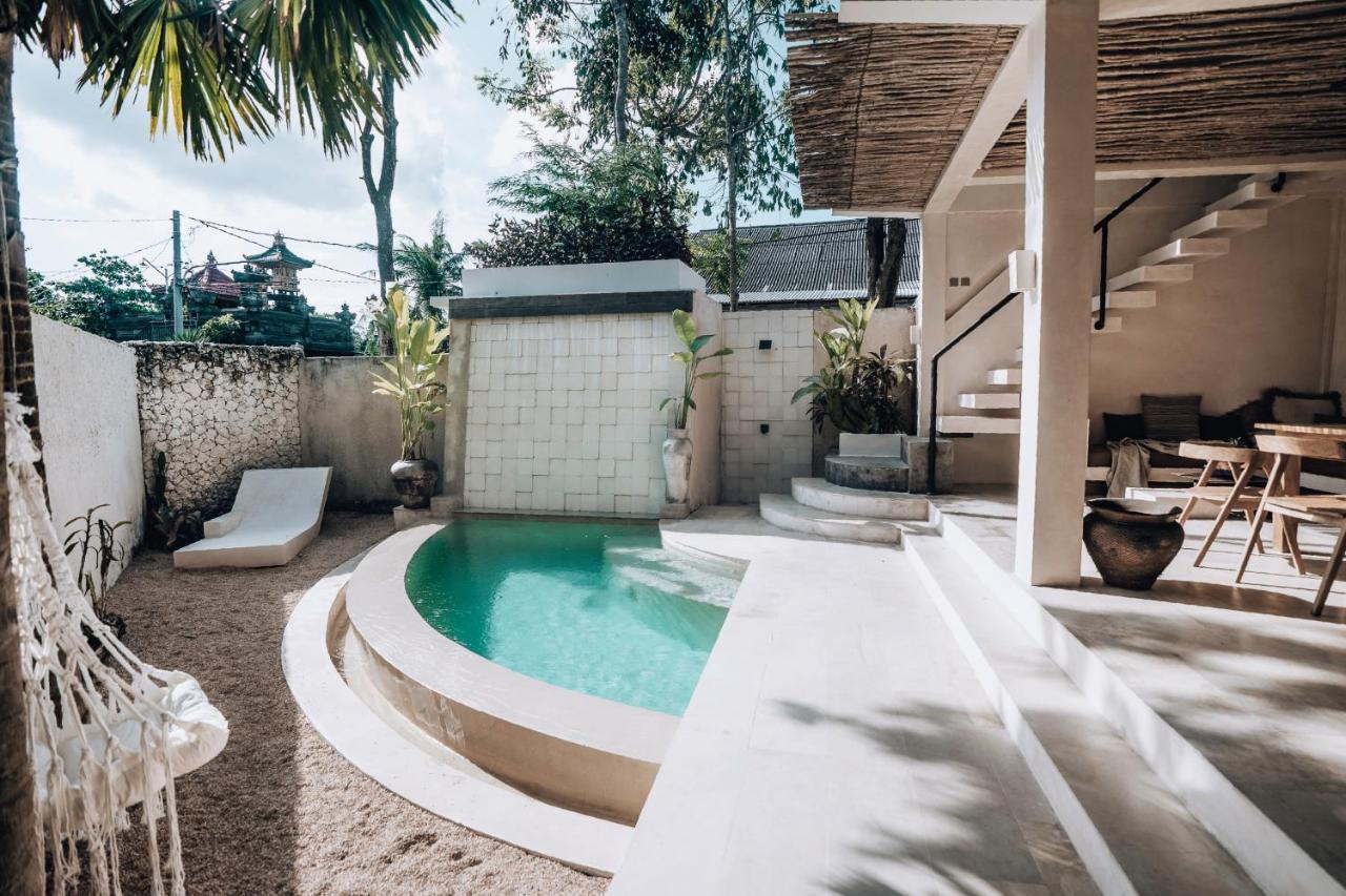 Amma Oasis *